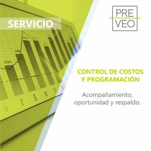 Servicio de control de costos y programación
