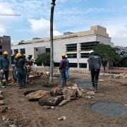 Novo Candelaria 1- Btá