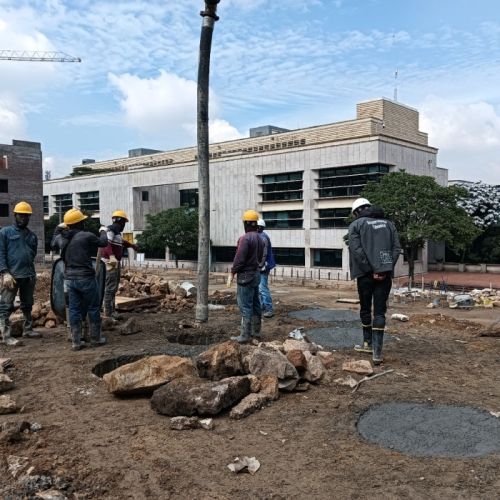 Novo Candelaria 1- Btá